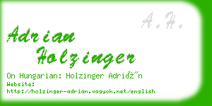 adrian holzinger business card